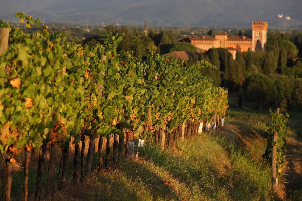 Appartamenti Nelle Vigne Capriva del Friuli Eksteriør billede